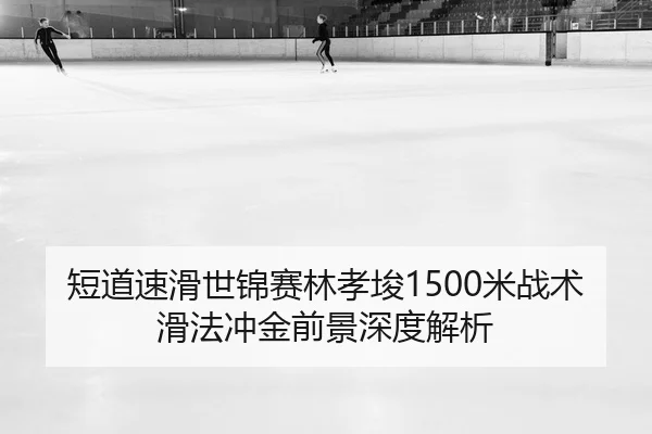 duan-dao-su-hua-shi-jin-sai-lin-xiao-jun-mi-zhan-shu-hua-fa-chong-jin-qian-jing-shen-du-jie-xi-2-432.jpg