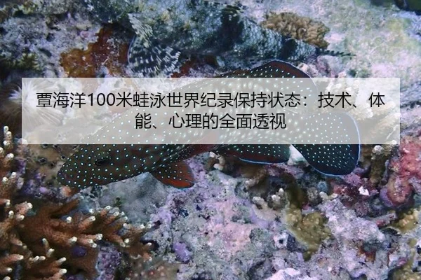 tan-hai-yang-mi-wa-yong-shi-jie-ji-lu-bao-chi-zhuang-tai-ji-shu-ti-neng-xin-li-de-quan-mian-tou-shi-2-502.jpg