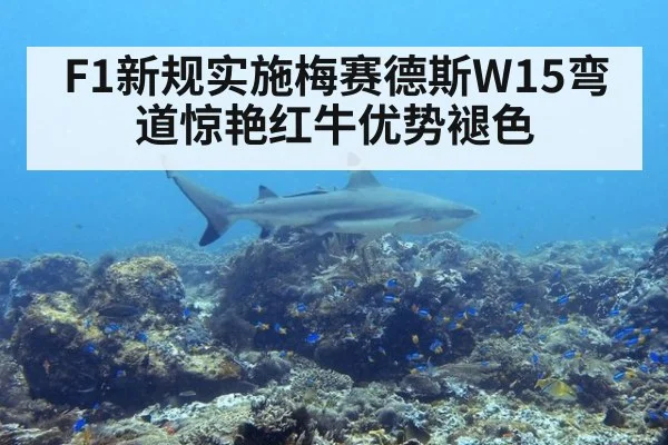 F1新规实施梅赛德斯W15弯道惊艳红牛优势褪色